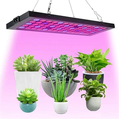 Grow Lights For Indoor Vegetable Plants At Nora Perkins Blog