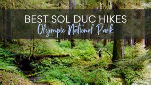 Olympic National Park Guide