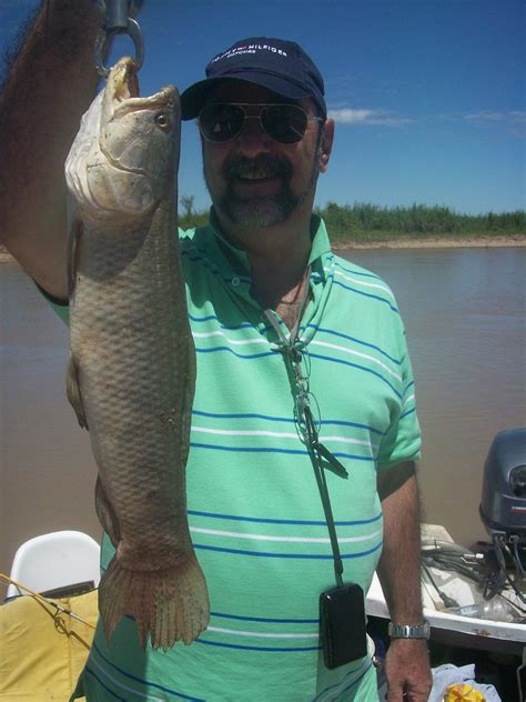 PESCANDO CON HIRAM Tarariras Y Dorados