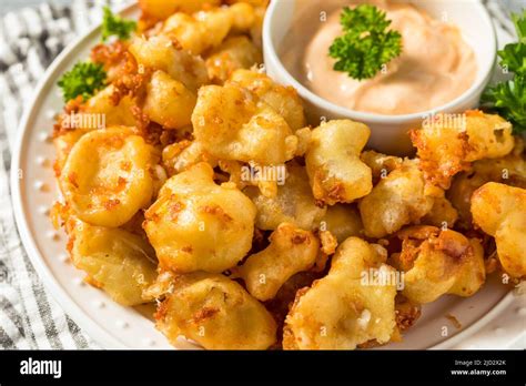 Homemade Deep Fried Wisconsin Cheese Curds with Dipping Sauce Stock ...