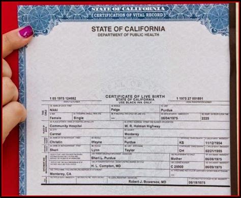 Kentucky Birth Certificate Format - Form : Resume Examples #q78QqZmy8g