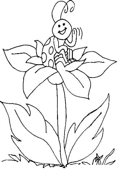 Desenhos De Joaninha Em Flor Para Colorir E Imprimir Colorironline