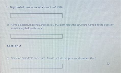 Solved 1) Nigrosin helps us to see what structure? (2pts) 2) | Chegg.com