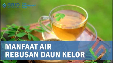 Manfaat Minum Air Rebusan Daun Kelor YouTube