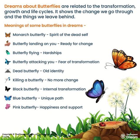 Exploring the Symbolism of Butterfly Dreams - Discover the Meaning Behind 33 Beautiful Examples