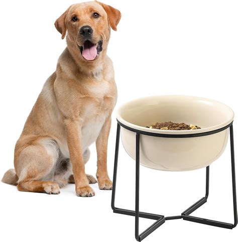 Pet Supplies : Elevated Large Dog Food Bowls - Raised Dog Bowl with Non ...