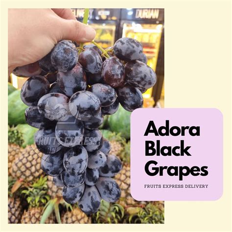 Buy Premium Quality Usa Black Seedless Grapes Online In Singapore