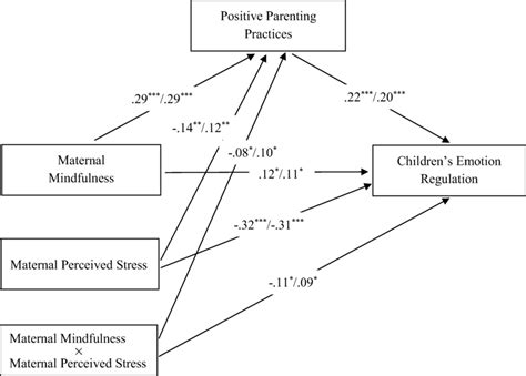 Standardized Path Coefficients Of The Full Moderated Mediation Models Download Scientific