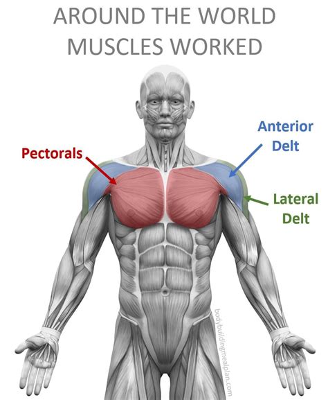 3 Benefits of The Around The World Exercise For Chest & Shoulders ...