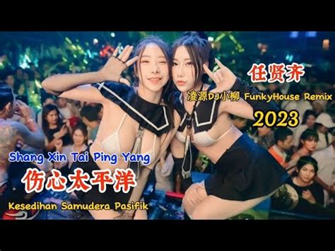 任贤齐 伤心太平洋 凌源DJ小柳 FunkyHouse Remix 2023 Shang Xin Tai Ping Yang