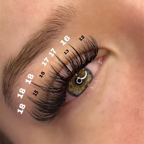 Hybrid Lash Mapping Guide Sweet Eyelashes