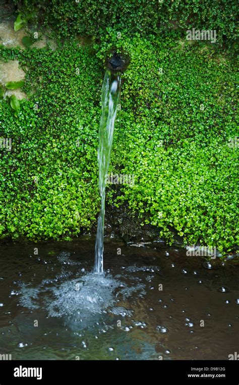 Natural Fresh Spring Water Emerging From A Rock Face And Spilling Into