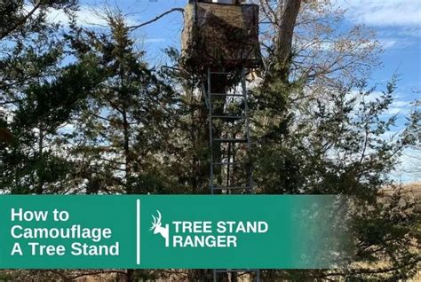 How To Camouflage A Tree Stand A Complete Guide 2024