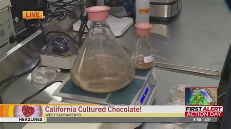 California Cultured Chocolate Youtube