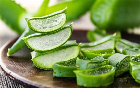 Aloe Vera Les Bienfaits De Cette Plante M Dicinale Dermophil