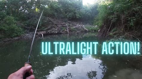 Fishing A New Creek Creek Fish Frenzy Youtube