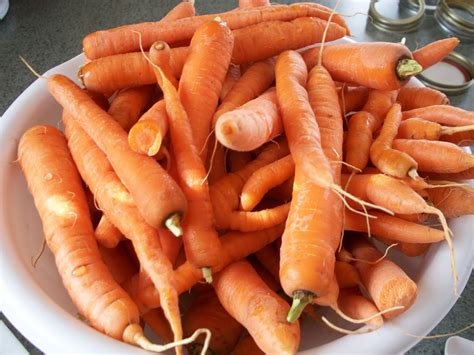 Home Grown Carrots Adventures Of A Diy Mom