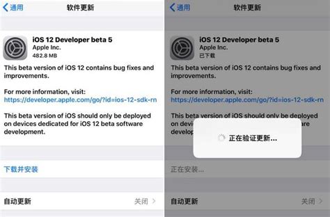 蘋果iphone 11雙卡雙待穩了，ios12 Beta5曝出雙sim卡 每日頭條