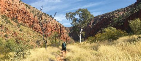 Larapinta Trail - Sample Itinerary