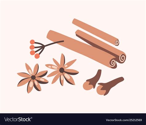 Cinnamon Sticks Cloves And Star Anise Isolated Vector Image