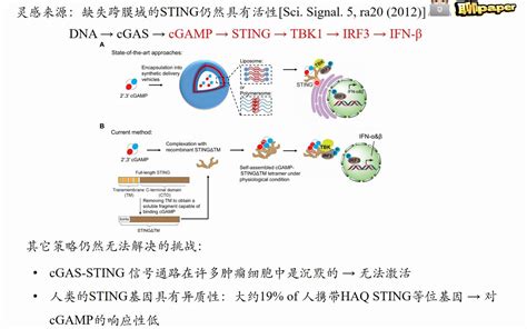 Ppar Pathway In Tumor