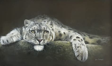 Jean Pritchard Tiger Cub Carnes Fine Art