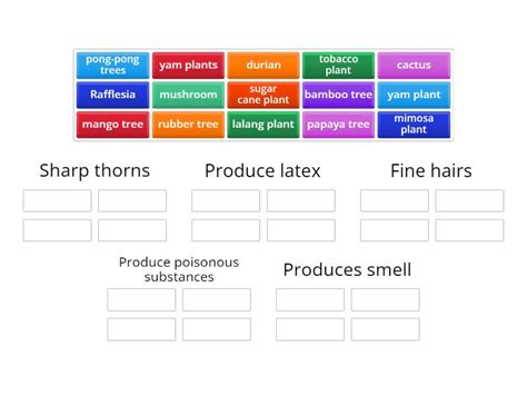 Protection from Enemies - Specific Characteristics of Plants - Group sort