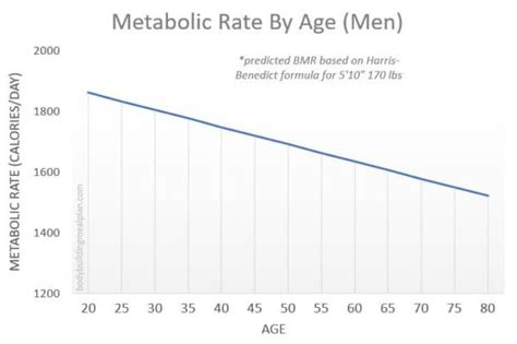 Metabolic Age Calculator 7 Simple Steps To Lower Metabolic Age