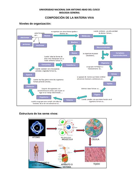 Composición De La Materia Viva Biologia General ComposiciÓn De La Materia Viva Niveles De