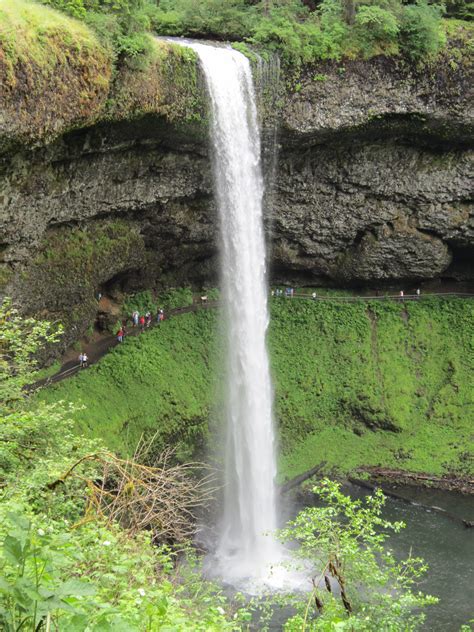 Silver Falls State Park Oregon Silver Falls State Park State Parks