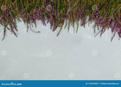 Heather Flowers Frame On Gray Wooden Background Top View Stock Image