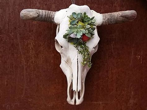 Cowskull with Living Succulents | Cow skull, Boho room, Southwestern ...