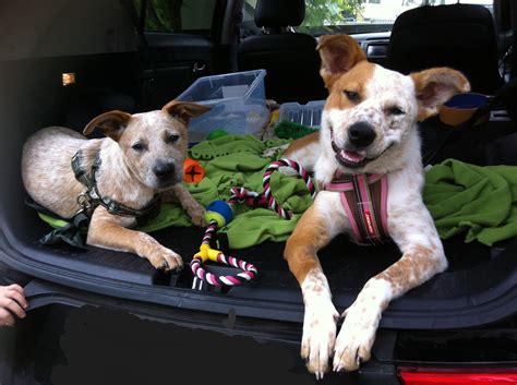 Nashville & Memphis - Home