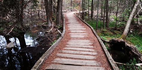 Sandy Stream Pond (Baxter SP) - dismal wilderness