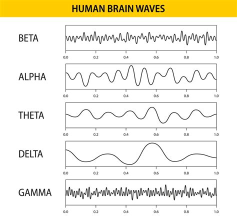 Eeg Procedure