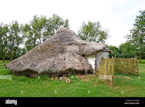 Reconstructed Iron Age Roundhouse At Flag Fen Bronze Age Centre Fenland