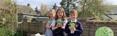 Cartmel Primary School Mighty Oaks From Little Acorns Grow