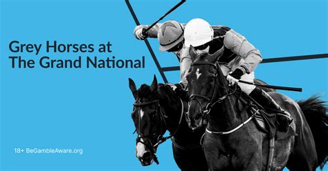 How To Bet On The Grand National Online 2024 Betting Tips How To