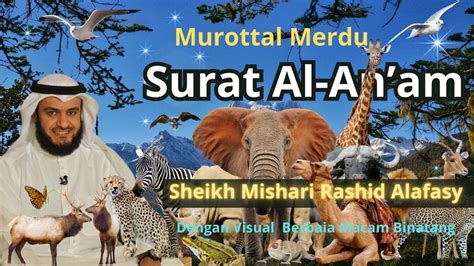 Murottal Merdu Surat Al An Am Oleh Sheikh Mishari Rashid Alafasy