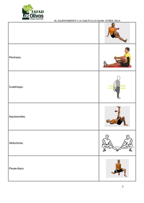 Calentamiento Y Vuelta A La Calma Futbol Sala PDF