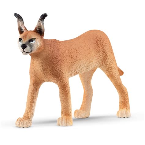 Schleich Caracal Female 14867 Toys Hobbies