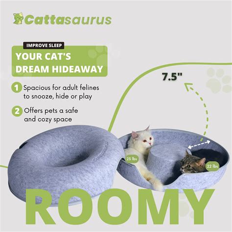 Cattasaurus Peekaboo Cat Cave For Multiple Cats Large Cats For Cats