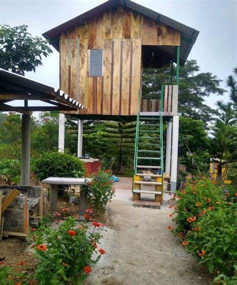 A Small Wooden Structure With Stairs Leading Up To It And Flowers In