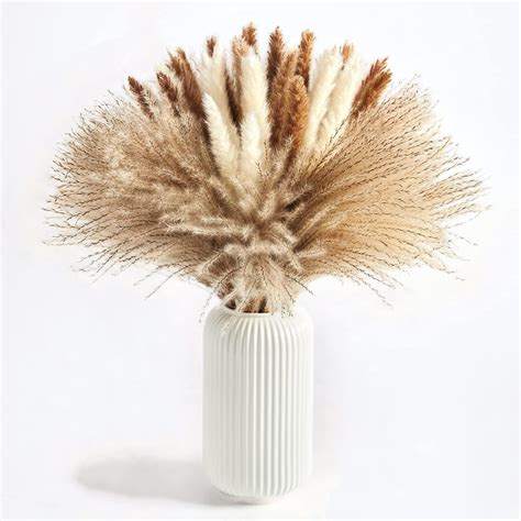 Buy Babibob Dried Pampas Grass 60 Pcs 15 Pcs White Pampas 15 Pcs