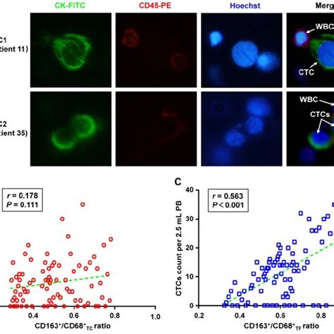 Relationship Between The Different Cd163 Cd68 Ratio In Crc Tissues Download Scientific