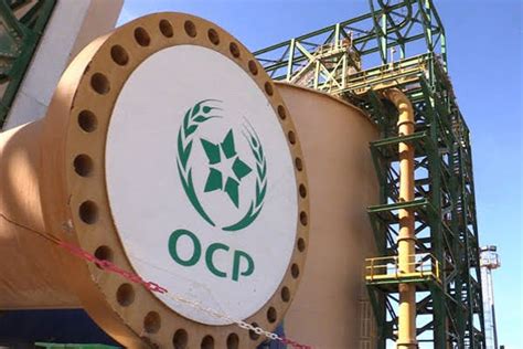 L Ocp Am Liore Son Chiffre D Affaires De En