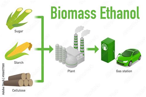 Biomass Ethanol Made Form Sugar Starch Cellulose Diagram Illustration Stock Vector Adobe Stock