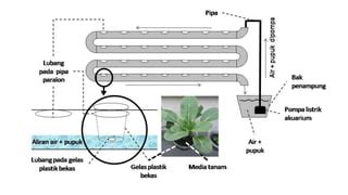 Ppt Menanam Tanaman Dengan Metode Hidroponik Ppt