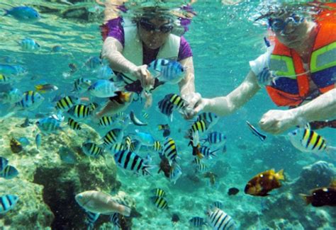 Tak Perlu Ke Raja Ampat Untuk Snorkeling Pulau Tidung Aja