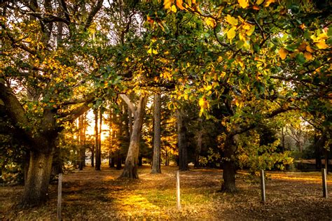 Ebden St Carlsruhe Vic Australia Sunrise Sunset Times